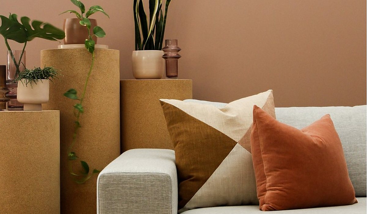 A tidy living room with cushions and plants